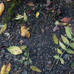 3 intentions for your Autumn Equinox of abundance