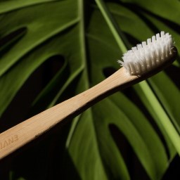 5 Easy swaps towards a Plastic Free lifestyle